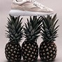 Image result for Vegan Leather Sneakers