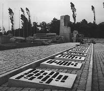 Image result for Auschwitz-Birkenau Museum