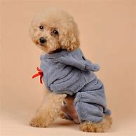 Image result for Pet Clothes Dogs