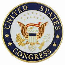 Image result for House of Representatives Lapel Pin