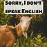 Image result for Funny Rude Things to Say