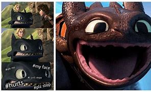 Image result for How to Train Your Dragon Funny