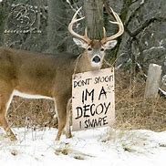 Image result for Deer Hunting Jokes