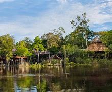 Image result for Camping in the Amazon River Iquitos