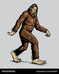 Image result for Bigfoot Sasquatch Drawings