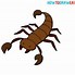 Image result for Cute Scorpion Drawing