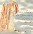 Image result for Sweet Christmas Quotes