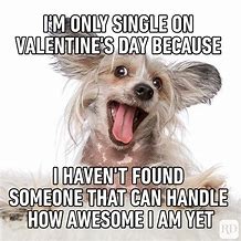 Image result for Valentine's Day Funny Animal Memes