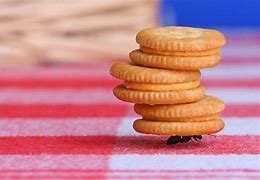 Image result for Ant Cookies