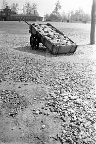Image result for Buchenwald Film