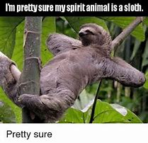 Image result for Pickle Sloth Meme