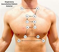 Image result for Chest Type 5 Cu FT