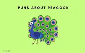 Image result for Peacock Puns