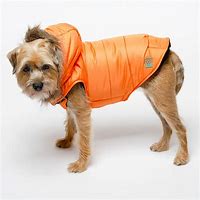 Image result for Puppy Jacket