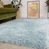 Image result for Small Throw Rugs