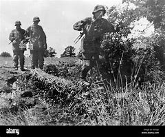 Image result for Waffen SS Normandy