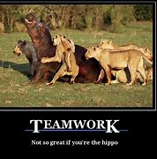 Image result for Teamwork and Excellence Funny Quotes