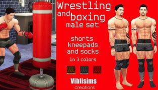 Image result for Sims 4 Boxing
