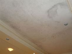 Image result for Water Damage Mold Ceiling
