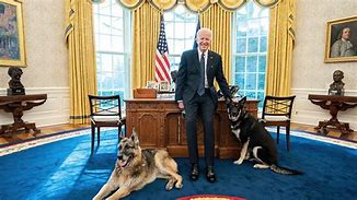 Image result for Inside Biden Oval Office