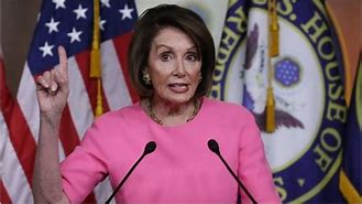 Image result for Pelosi Booking Photo
