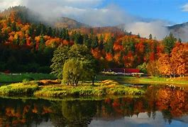 Image result for Fall HD Photos