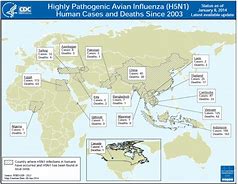 Image result for Avian Influenza Map