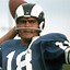 Image result for Roman Gabriel Rams