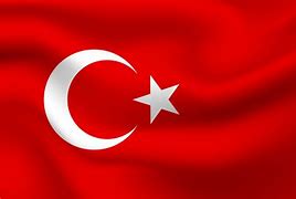 Image result for turkish flags