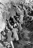 Image result for WW2 German Concentration Camps