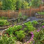 Image result for Raised Garden Bed with Fence Plans