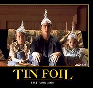 Image result for Tin Foil Hat Cat Government