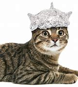 Image result for Tin Foil Hat by Itself