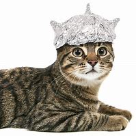 Image result for Animals with Tin Foil Hat