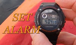 Image result for Casio Alarm Chrono Water Resist