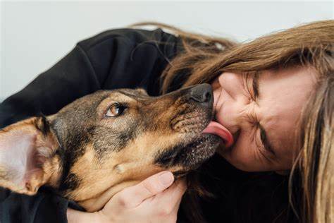 Reasons Your Dog Licks Your Face That Might Shock You