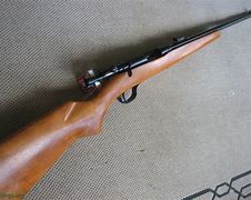 Image result for Sears-Roebuck Catalog Rifles