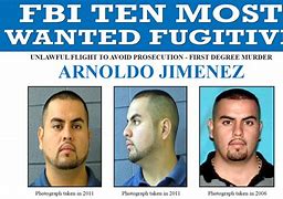 Image result for Illinois Most Wanted List