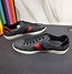 Image result for Gucci Ace GG Sneaker On Feet