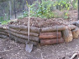 Image result for Log Standing Up Right