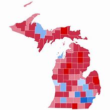 Image result for 2020 Election Map Michigan
