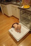 Image result for 24" Dishwasher Panel Ready