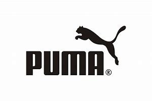Image result for Women's Puma Sweatshirt