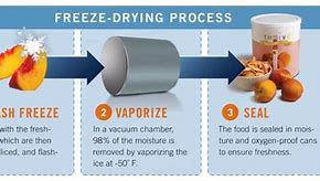 Image result for Freeze Dried Food Process