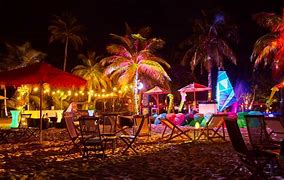 Image result for Beach Party Night