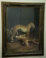 Image result for Jacques La Agasse Two Leopards