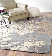 Image result for Living Room Rug On Carpet