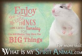 Image result for Funny Mouse Sayings