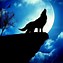 Image result for Wolf Moon