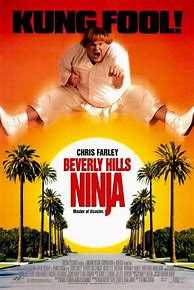 Image result for Chris Farley Beverly Hills Ninja Movie